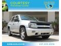 Silverstone Metallic 2008 Chevrolet TrailBlazer LS 4x4