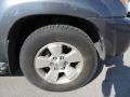 Galactic Gray Mica - 4Runner SR5 Photo No. 25