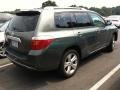 2010 Cypress Green Pearl Toyota Highlander Limited  photo #4