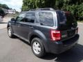 2009 Black Pearl Slate Metallic Ford Escape XLT  photo #6