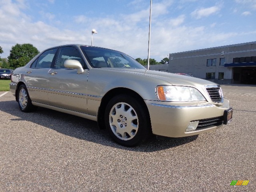 2004 RL 3.5 - Champagne Mist Pearl / Parchment photo #8