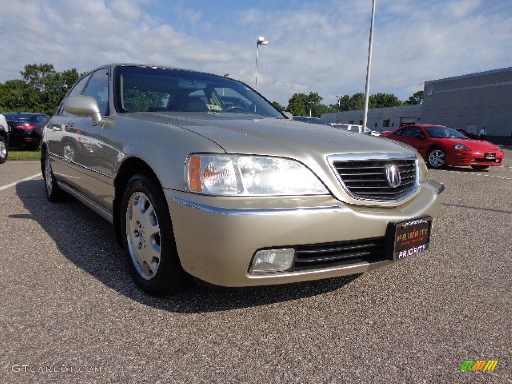 2004 RL 3.5 - Champagne Mist Pearl / Parchment photo #9