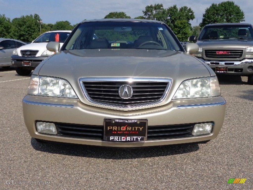 2004 RL 3.5 - Champagne Mist Pearl / Parchment photo #10