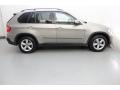 Platinum Bronze Metallic - X5 3.0si Photo No. 9