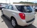 Champagne Silver Metallic - Equinox LS AWD Photo No. 6