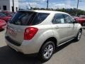 Champagne Silver Metallic - Equinox LS AWD Photo No. 8