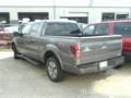 Sterling Gray Metallic - F150 FX2 SuperCrew Photo No. 3