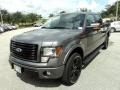 Sterling Gray Metallic - F150 FX4 SuperCrew 4x4 Photo No. 13