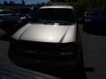 Sandstone Metallic - TrailBlazer LS 4x4 Photo No. 2