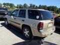Sandstone Metallic - TrailBlazer LS 4x4 Photo No. 4