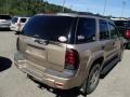 Sandstone Metallic - TrailBlazer LS 4x4 Photo No. 6