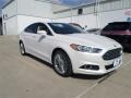 White Platinum - Fusion SE EcoBoost Photo No. 7