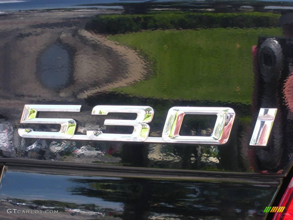 2001 5 Series 530i Sedan - Jet Black / Beige photo #9