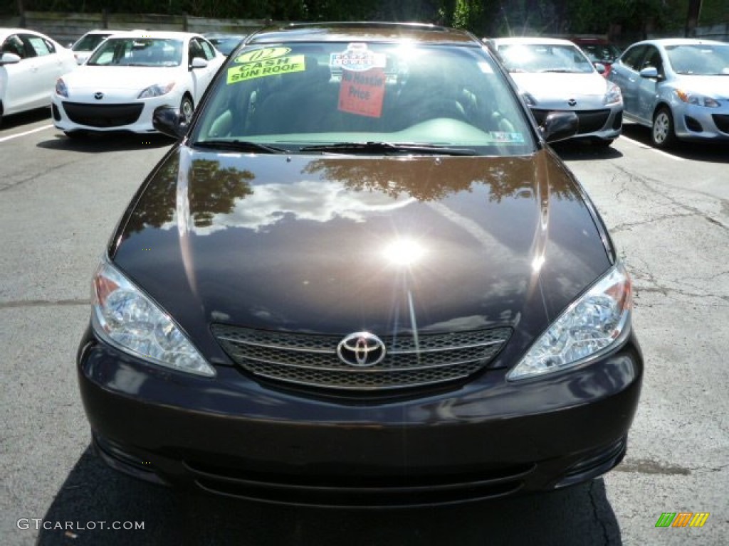 2002 Camry XLE - Black Walnut Pearl / Taupe photo #14