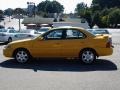 Sunburst Yellow - Sentra 1.8 S Special Edition Photo No. 7
