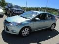 Frosted Glass Metallic - Focus SE 5-Door Photo No. 6
