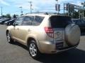 Sandy Beach Metallic - RAV4 Limited 4WD Photo No. 4