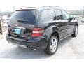 Black - ML 350 4Matic Photo No. 9