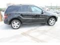 Black - ML 350 4Matic Photo No. 11