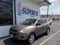 2010 Chai Bronze Hyundai Tucson GLS  photo #1