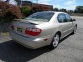 Sandrock Beige - I 30 Photo No. 4