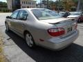 Sandrock Beige - I 30 Photo No. 7