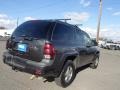 Dark Gray Metallic - TrailBlazer LS 4x4 Photo No. 2