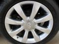 Beryllium 16 Metallic - FX 45 AWD Photo No. 14