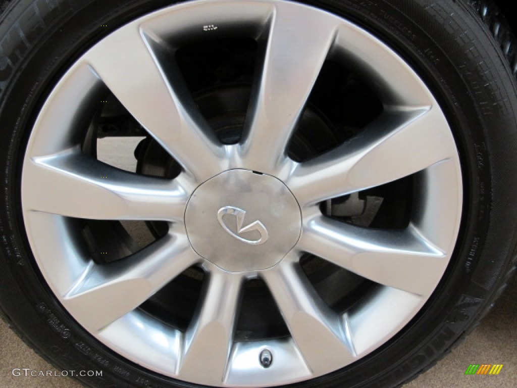 2004 FX 45 AWD - Beryllium 16 Metallic / Brick/Black photo #15