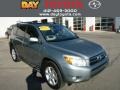 2007 Everglade Metallic Toyota RAV4 Limited  photo #1