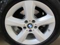 Titanium Silver Metallic - X5 3.0si Photo No. 14