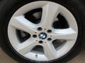 Titanium Silver Metallic - X5 3.0si Photo No. 15