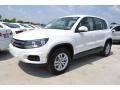 Candy White - Tiguan S Photo No. 1