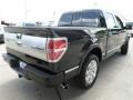 Tuxedo Black Metallic - F150 Platinum SuperCrew Photo No. 5