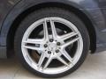 Steel Grey Metallic - C 350 Sport Photo No. 24