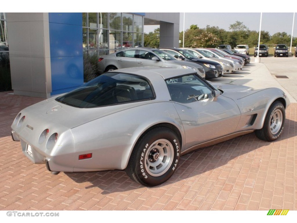 1979 Corvette Coupe - Silver / Black photo #11