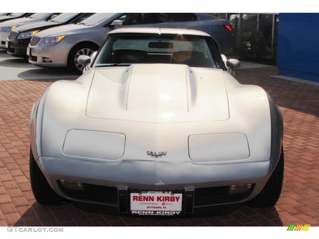 1979 Corvette Coupe - Silver / Black photo #16