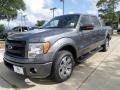 2013 Sterling Gray Metallic Ford F150 FX2 SuperCrew  photo #1