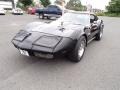 1974 Black Chevrolet Corvette Stingray Coupe  photo #1