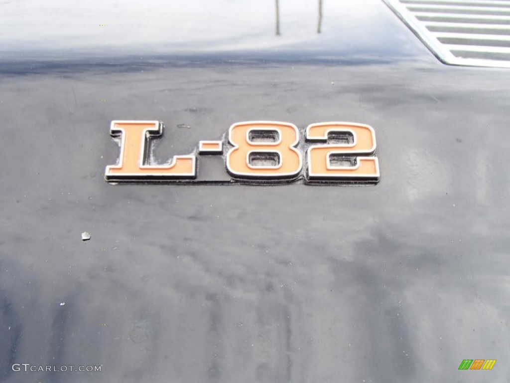 1974 Chevrolet Corvette Stingray Coupe Marks and Logos Photo #85497119