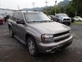 Silverstone Metallic - TrailBlazer LS 4x4 Photo No. 2