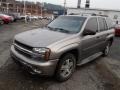 Silverstone Metallic - TrailBlazer LS 4x4 Photo No. 4