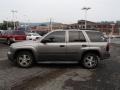Silverstone Metallic - TrailBlazer LS 4x4 Photo No. 5