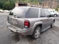 Silverstone Metallic - TrailBlazer LS 4x4 Photo No. 8