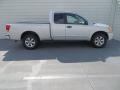 Radiant Silver - Titan SV King Cab Photo No. 3