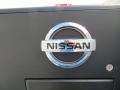 Radiant Silver - Titan SV King Cab Photo No. 19