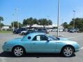 Thunderbird Blue 2002 Ford Thunderbird Premium Roadster Exterior