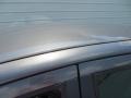 Liquid Grey Metallic - Focus ZX4 SE Sedan Photo No. 22