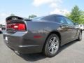 2014 Granite Crystal Metallic Dodge Charger R/T  photo #3