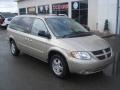 Linen Gold Metallic - Grand Caravan SXT Photo No. 17